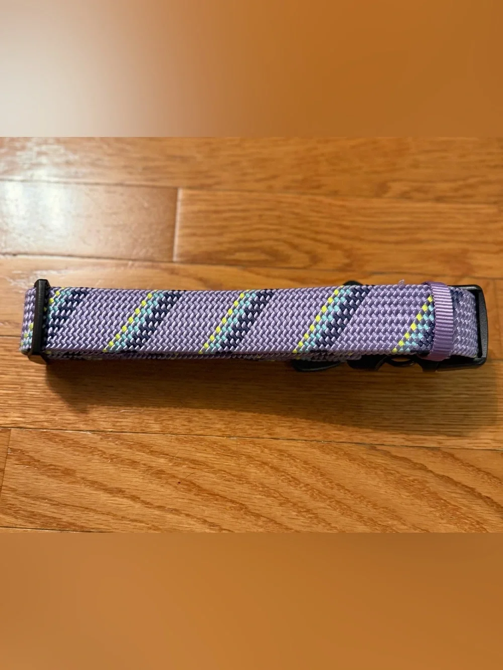 Purple Arcadia Trail Dog Collar - X Large (New)